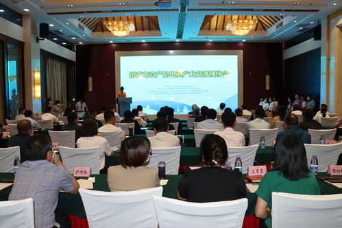 电商巨头齐聚商河，共绘济南农产品上行新蓝图——市农产品电商产业交流现场会侧记