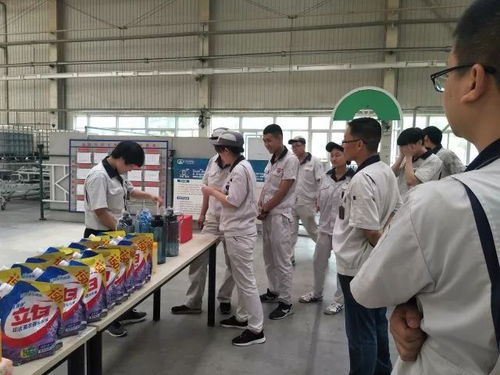 软质车间 粽香传情系端午，匠心筑梦展风采